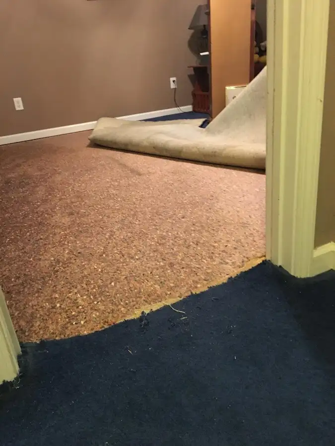 Carpet pad removal revealing water damage during Drying & Dehumidification in Hudson